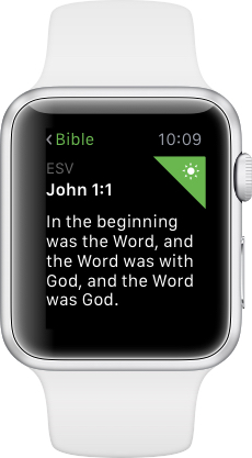 Библия Apple Watch Скачать Бесплатно